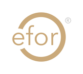 arts et métiers - logo Efor